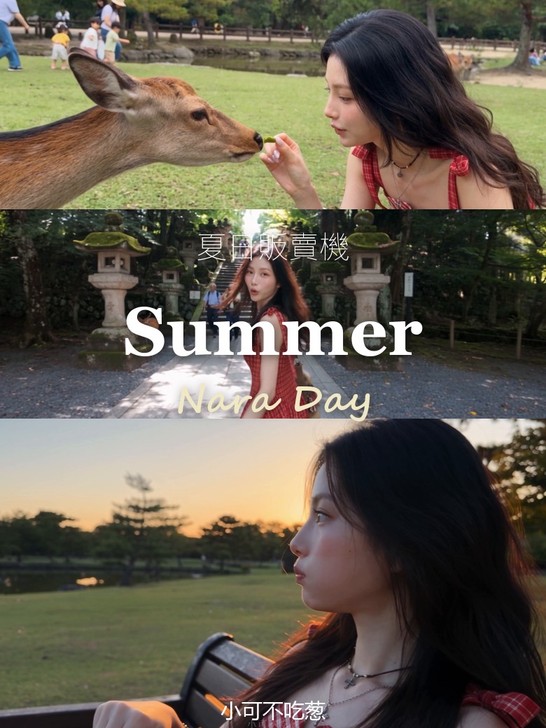小可不吃葱 · 夏日奈良封面